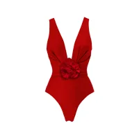 V Neck Swimsuit
