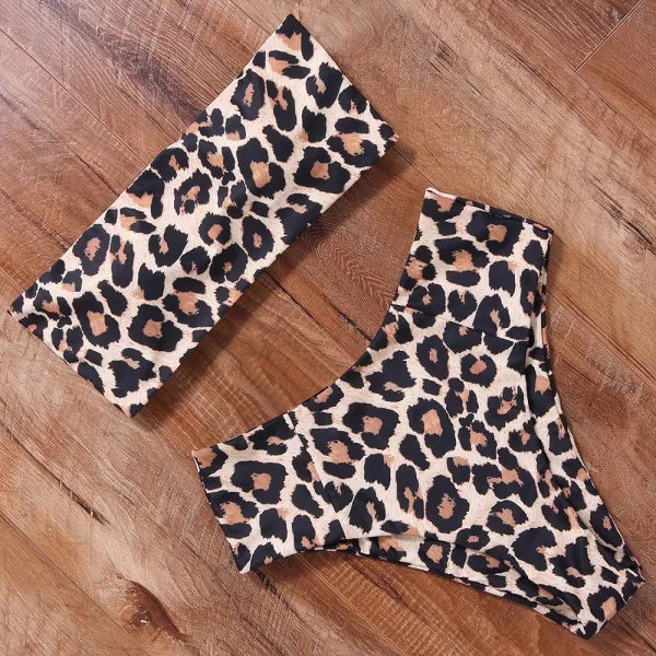 Leopard Print Classic Bikini Set