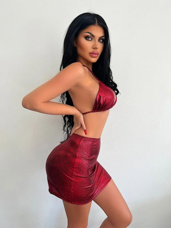 Seraphina Snake Print Bikini and Cover-Up Skirt Set