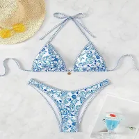 Blue And White Porcelain