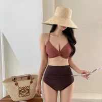 Brick Red Dark Coffee Color