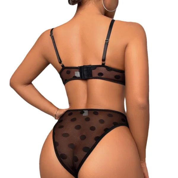 Mesh Overlay Bikini Set