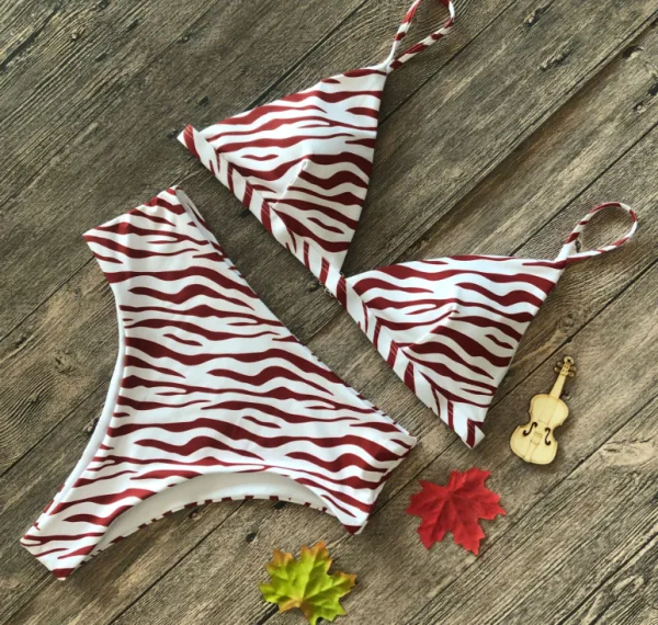 Leopard Print High-Waist Bikini Set