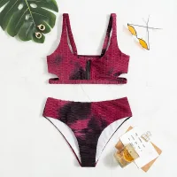 Gradient Purple Color