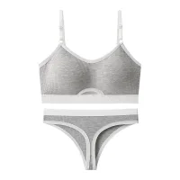 Light Gray Average Size