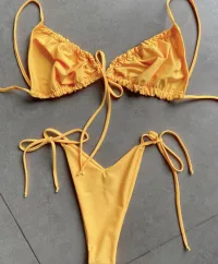 Dy06