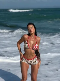 9373 Leopard Print Bikini