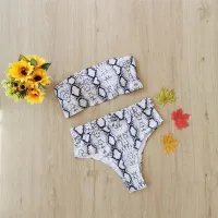 White Snake Pattern