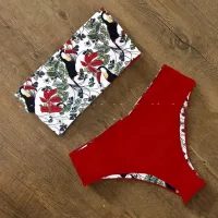 7color