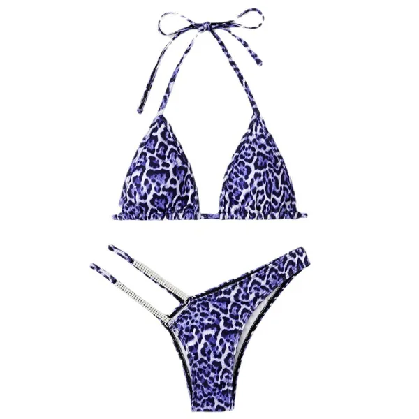 Leopard Print Two-Piece Bikini Set