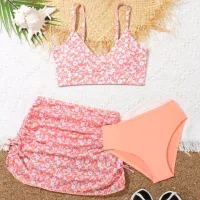 Color 5 In The Picture